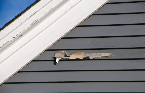 Affordable siding repair and maintenance services in South Tucson, AZ